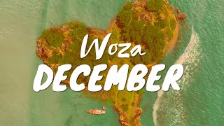 Dankii kay  Woza December Official Audio [upl. by Acinehs]