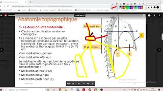 UE1 Anatomie CardioVasculaire 2 بالعربية  Le Médiastin [upl. by Fleurette]