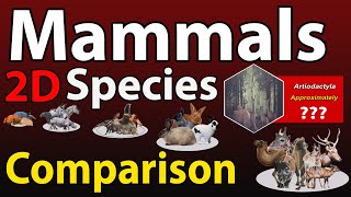 Mammals Species Comparison in 2023  List of Mammals species in the world in 2023 [upl. by Anadroj]