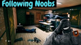 Noob Hunting 3  Rainbow Six Siege [upl. by Whitebook591]