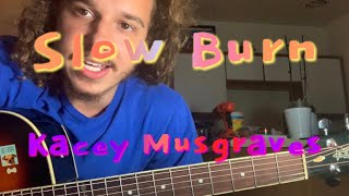 Slow Burn  Kacey Musgraves  guitar lesson [upl. by Amme]