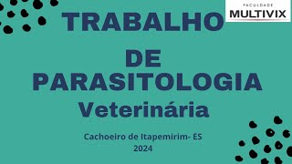 Trabalho de parasitologia veterinária Dirofilaria immitis 4º periódo 2024 [upl. by Eendyc]