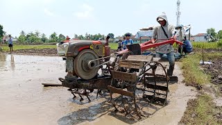 TRAKTOR LAGI RATAKAN SAWAH GILA LAHAN SAWAH PENUH DENGAN BEULUT [upl. by Ettedranreb]