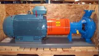 Goulds  3196 iFRAME  Centrifugal Pump [upl. by Fonzie901]