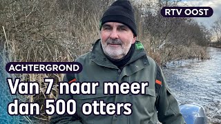 Door boswachter Egbert is de otter niet uitgestorven in Nederland  RTV Oost [upl. by Ymeraj]