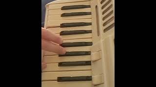 Joe Dassin quotLes Champs Elyseesquot accordeon cover [upl. by Byler348]