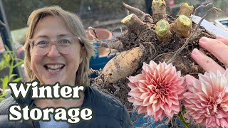 How to Store Dahlias Over Winter The Ultimate Guide [upl. by Redyr]