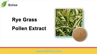 Buy Rye Grass Pollen Extract at Wholesale Price [upl. by Fawcett]