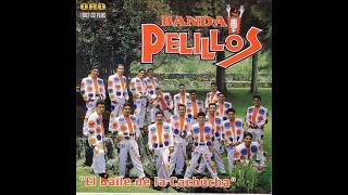 MIX DE CUMBIAS BANDA PELILLOS [upl. by Eelek]