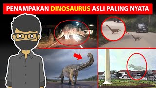 10 PENAMPAKAN DINOSAURUS DI DUNIA NYATA [upl. by Lonnie]