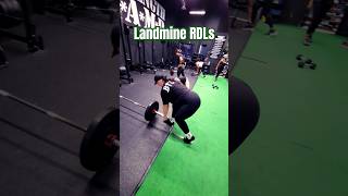 Landmine RDLs RDLs deadlift glutes strengthtraining [upl. by Ahsinrat]