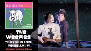 The Weepies  Theyre In Love Where Am I Audio [upl. by Frohman]