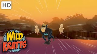 Wild Kratts Kratt Brothers To The Rescue  Creature Power [upl. by Lebaron]