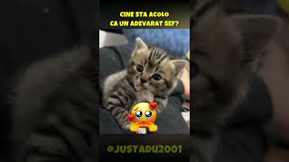 CINE STA ACOLO CA UN ADEVARAT SEF 😱😱😎😎😎 [upl. by Eiramik]