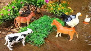 cow cow cattle horse dog amba matikata animals video bommalu tractor  Nov 13 20241019 AM [upl. by Gnehs]