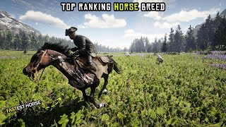 Top Ranking Every Horse Breed In Red Dead Redemption 2 [upl. by Ynnij]