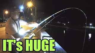 Big Bridge Snook Testing Out My Custom Rod [upl. by Suk472]