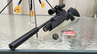 PCP Airgun General Review  بنادق الصيد الغاز شرح عام [upl. by Cadell]