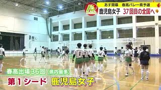 めざせ！春の高校バレー 鹿児島県代表目指す男女第１シードの戦力は 231120 1920 [upl. by Boffa653]