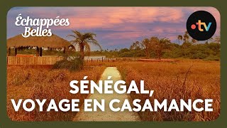 Sénégal voyage en Casamance  Echappées belles [upl. by Malissia38]