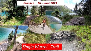 eMTB  über den Single Wurzel Trail am Plansee in Tirol [upl. by Anaidirib]