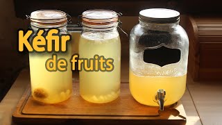 Le kéfir de fruits ou tibicos une limonade maison saine et facile à faire [upl. by Derreg]