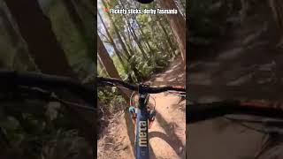 Flow on Flickety Sticks in Derby Tasmania mtb mountainbike jump gopro hero13 flow bluederby [upl. by Yeslrahc]