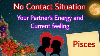 Pisces sign  मीन राशि  No contact situation Partners Current feeling  Tarot with J Jha❤️ [upl. by Amati]