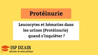 Leucocytes et hématies dans les urines Protéinurie  quand sinquiéter [upl. by Decato]