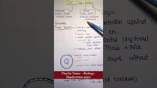 Epidermal Ground Vascular  Plant Tissues System  Biology  General Science  Lec11 [upl. by Ahseim748]