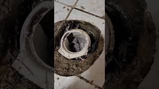 cracked toilet flange repair concrete slab Part 1 [upl. by Slemmer777]