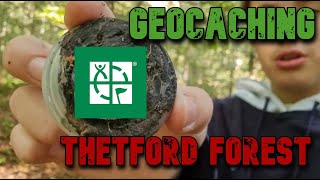 Geocaching at Thetford Forest GOT LOST [upl. by Wein]