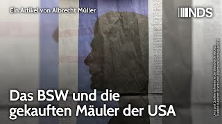 Das BSW und die gekauften Mäuler der USA  Albrecht Müller  NDSPodcast [upl. by Nnaassilem]