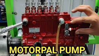 MOTORPAL PUMP TESTING  MOTORPAL INLINE PUMP TESTING  GENSET DIESEL PUMP TESTING [upl. by Weiman]