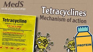 Proteins synthesis inhibitors  Tetracyclines  mechanism of action  MedS [upl. by Ajnek]