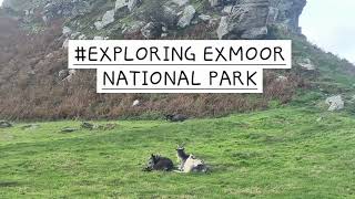 Wandering Around EXMOOR NATIONAL PARK DEVON [upl. by Atila986]