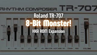 Roland TR707 8Bit Monster HKA ROM Expansion  8 Different Drum Kits [upl. by Bonni]