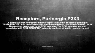 Medical vocabulary What does Receptors Purinergic P2X3 mean [upl. by Theone83]