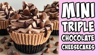 Mini Triple Chocolate Cheesecake Recipe tutorial Shorts [upl. by Faulkner]