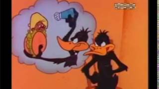 The Daffy Duck Show Best Moments [upl. by Lontson622]