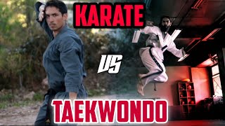 Karate vs Taekwondo  clip demonstração [upl. by Rosinski]