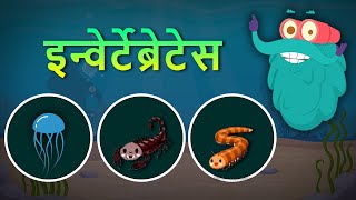 इन्वेर्टेब्रेटेस  अकशेरूकीय  Invertebrates In Hindi DrBinocs Show Best Learning Videos For Kids [upl. by Seaden]