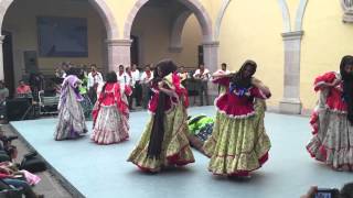 Polino Guerrero Compañía estatal de danza folclórica de zac [upl. by Cahilly]