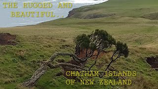 Chatham Islands 800km southeast of New Zealand Gets the first sun of the new day trending [upl. by Lered880]