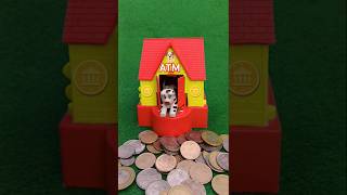 Mini dog 🐕 house and piggy ATM bank satisfied poppy collect the coin 🪙coinbank viralshortvideo [upl. by Nylia30]