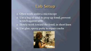 Introduction to Paleontology Preparation and Curation [upl. by Hardy931]