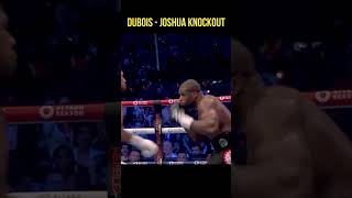 Joshua vs Dubois KNOCKOUT  Unexpected ending to the fight [upl. by Ayekim]