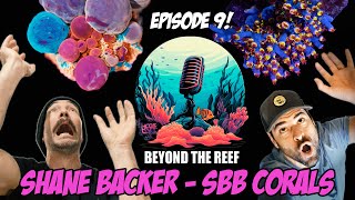 Episode 09 SBB Corals Shane Backer [upl. by Eliades]