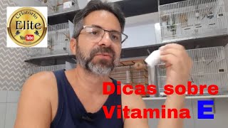 Criatorio de Coleiro  vitamina E [upl. by Ardeed]