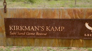 ampBeyond Kirkmans Kamp  Sabi Sands Game Reserve [upl. by Lombardi]